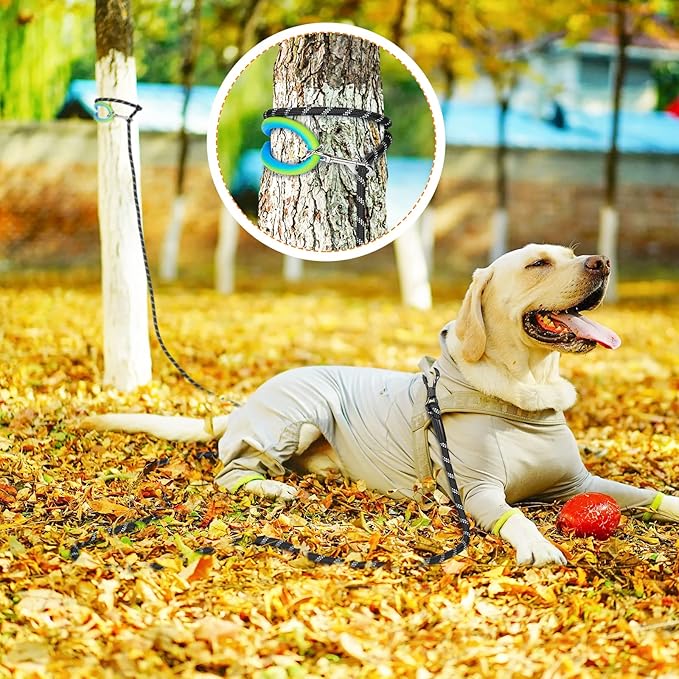 NTR 30 FT Dog Leash, Obedience Recall Training Agility Lead, with 2 Swivel Hooks, Reflective Threads and Soft Handle, Puppy Leash for Walking, Hunting, Camping for Small Medium and Large Dogs-Black