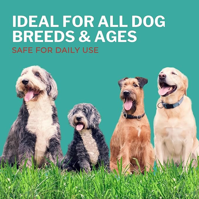 Shoo! Flea & Tick Spray for Dogs and Home | Plant Based, Natural Oils, Chemical Free Formula | Kills, Repels, Prevents | 16 oz (Citrus Burst)