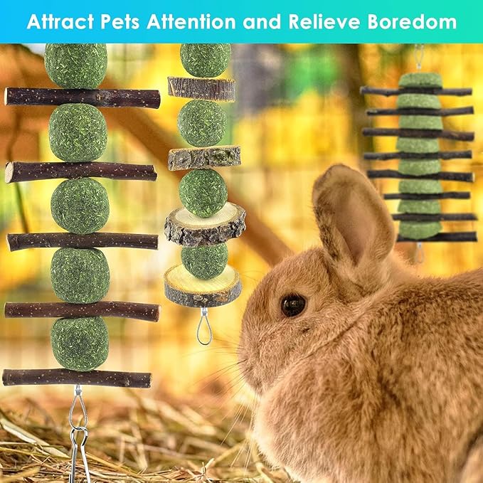 ERKOON Bunny Chew Toys, Rabbit Chew Toys for Teeth Grinding, Improve Dental Health, 100% Natural Apple Wood Timothy Grass Cake Treats for Rabbits Guinea Pigs Chinchillas Bunnies Hamsters (9 Pcs)