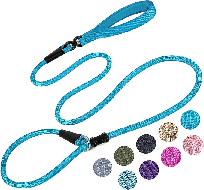 Slip Lead Dog Leash,Strong Nylon Rope Leash and Padded Handle,No Pull Outdoor Walking Training Lead for Small Medium Large Dogs(Blue, 1/2"×6ft)