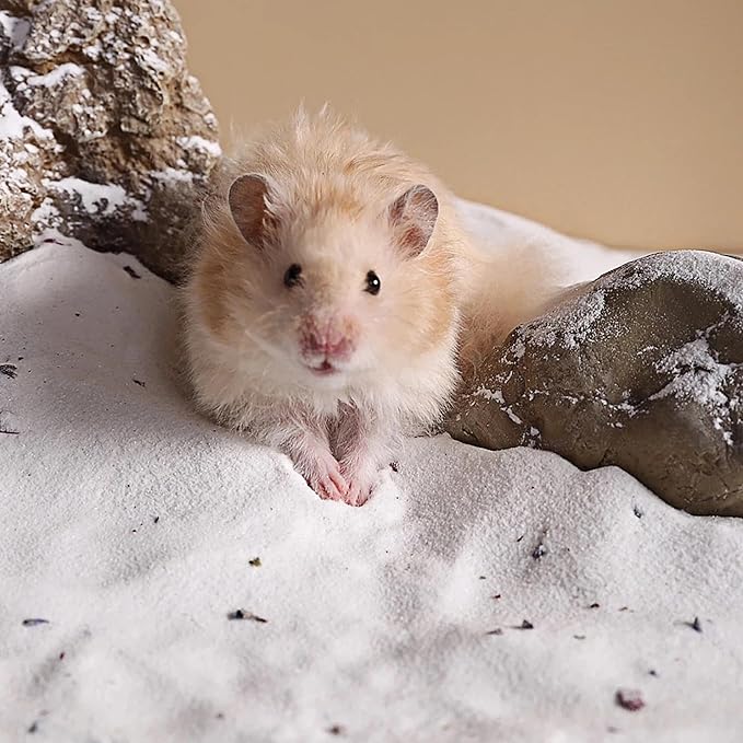 DR.DUDU Hamster Bath Sand, 6.6lb Dust Free Desert Sand or Potty Litter Sand for Hamster Chinchillas Gerbil Syrian Mice Small Animals (White, Flower Smell)
