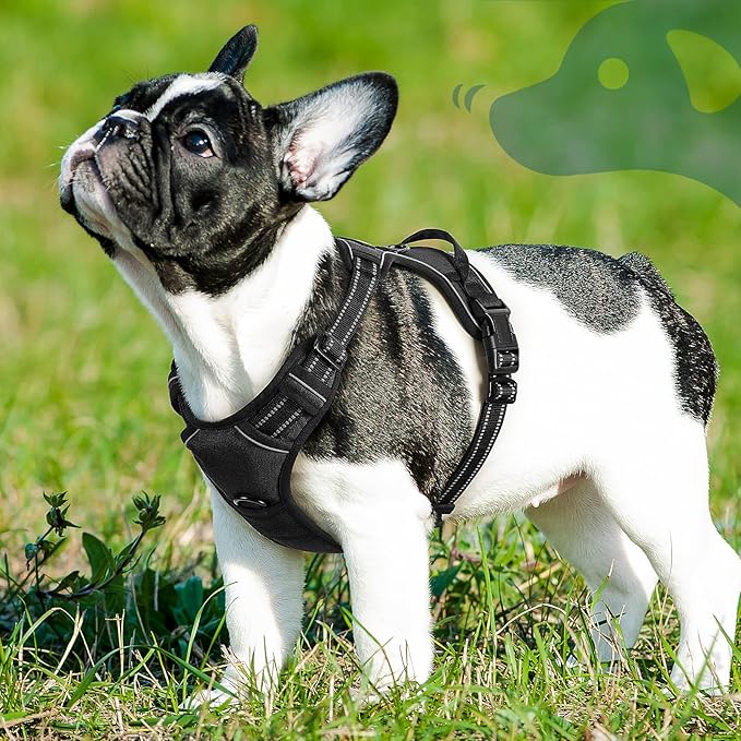 Eagloo Dog Harness Small Sized Dog, No Pull Service Vest with Reflective Strips and Control Handle, Adjustable and Comfortable for Easy Walking, No Choke Pet Harness with 2 Metal Rings, Black, S