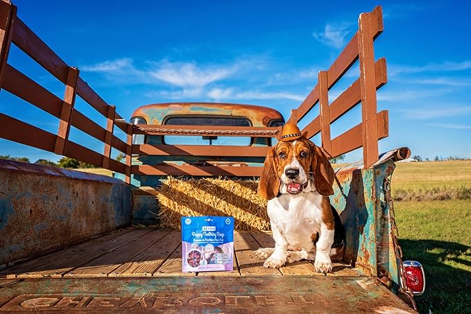 N-Bone Puppy Teething Rings Taste of Texas Burnt Ends Flavor 3 Count