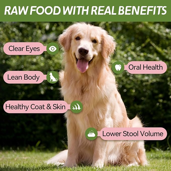 OPET Freeze Dried Cat Treats, Single Ingredient Grain Free High Protein Pet Food for Cats and Dogs, Healthy Training Snacks,Freeze Dried Pork Sliced Fillets (Pork, 5.92 Ounce)