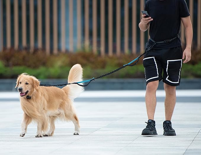 iYoShop Hands Free Dog Leash with Zipper Pouch, Dual Padded Handles and Durable Bungee for Walking, Jogging and Running Your Dog (White-Blue Mix, Large)