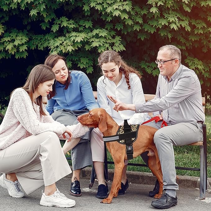 Dogline Dog Harness, Reflective No-Pull Adjustable Vest with Handle for Walking, Training, Breathable, No - Choke Harness for Small, Medium or Large Dogs Room for Patches Leopard Brown XL 33"-46"