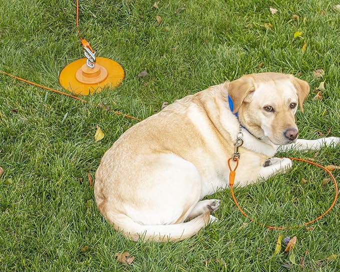 25 ft Tie-Out Cables for Dogs - Strong, Safe, and Durable Dog Tie-Outs for Small Dogs up to 90 Pounds - Weather and Wear Resistant Galvanized Aircraft Cable for Outside Use