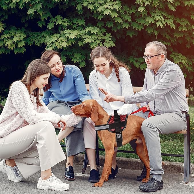 Dogline Dog Harness, Reflective No-Pull Adjustable Vest with Handle for Walking, Training, Breathable, No - Choke Harness for Small, Medium or Large Dogs Room for Patches Zebra Black/Red S 18"-24"