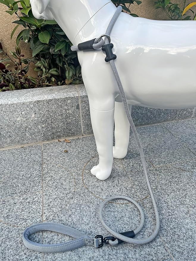 Slip Lead Dog Leash,Strong Nylon Rope Leash and Padded Handle,No Pull Outdoor Walking Training Lead for Small Medium Large Dogs(Grey, 1/2"×6ft)