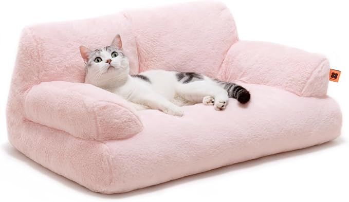 How to Make Your Cat’s Day Happier