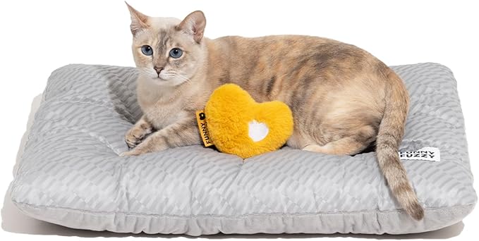 Top 7 Cat Toys Your Feline Will Love