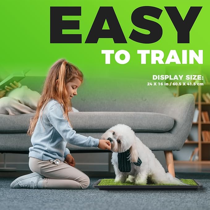 Puppy Training Tips Using a Leash | Pawver