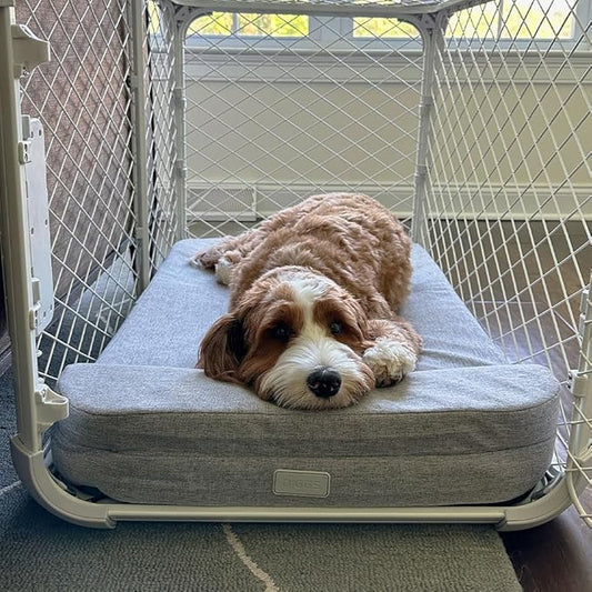 Summer Heat Management for Pets