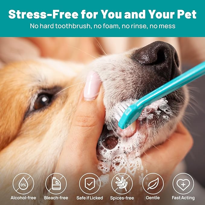 The Hidden Signs of Pet Stress (and How to Help)