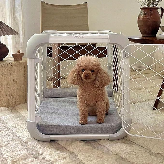 Puppy Cries When Left Alone?