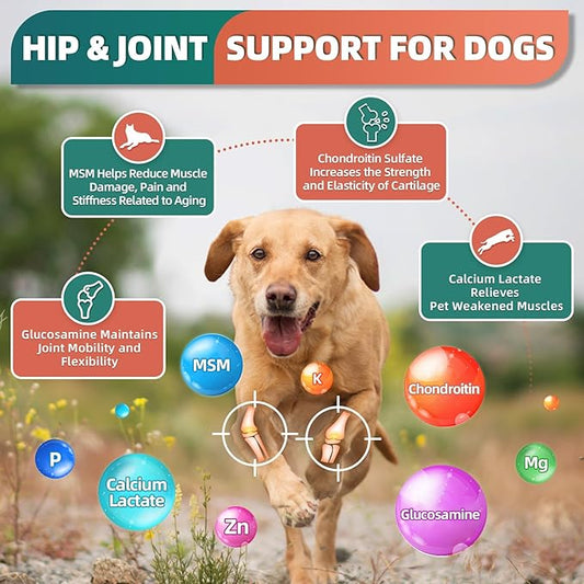 Dog Joint Supplements: Helping Your Dog Stay Active and Comfortable
