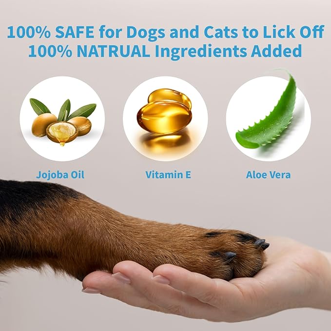 Dog Skin Problems: Causes and Solutions