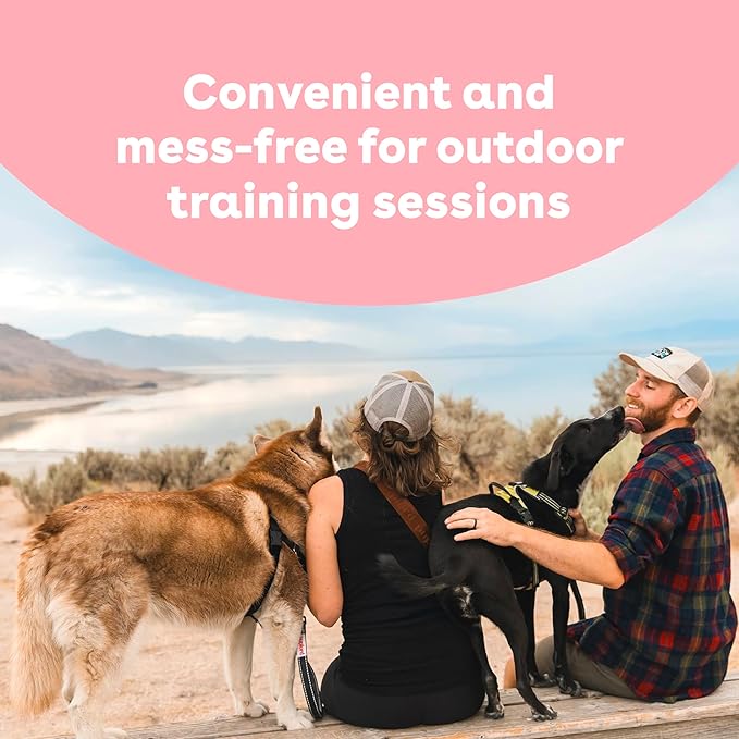 Traveling with Your Pet: Essential Preparation