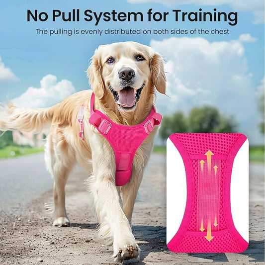Master Your Dog’s Behavior: The Ultimate Guide to Training Leashes | Pawver