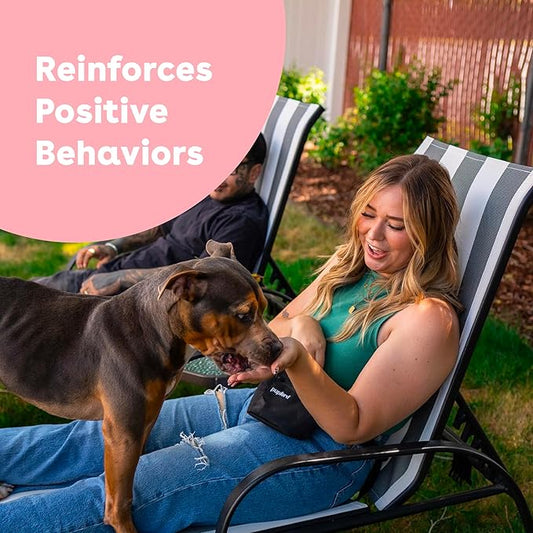 5 Essential Checklist Items Before Adopting a Dog