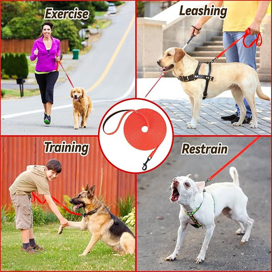 Choosing the Right Training Leash for Your Dog | Pawver