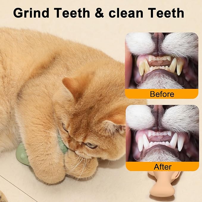 The Importance of Pet Dental Care