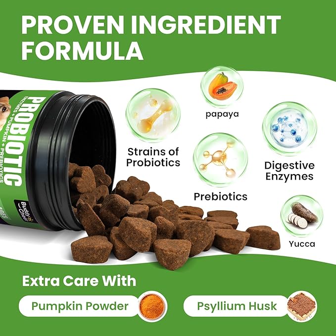 Pet Food & Treats