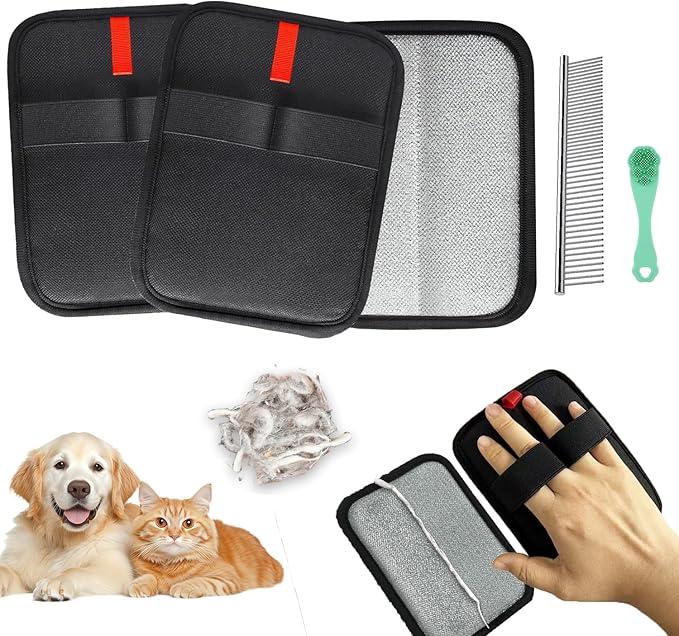 Pet Accessories