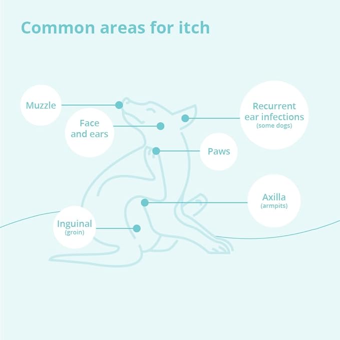 Shampoo for Dogs, Cats and Horses, 12 Ounce