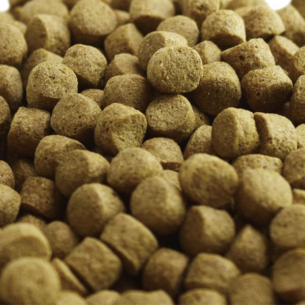 Plant Based Koi Fish Food | Wheat Germ Koi Food, All Season, Medium Floating and Sinking Pellets, 11 lbs (Medium/Floating)