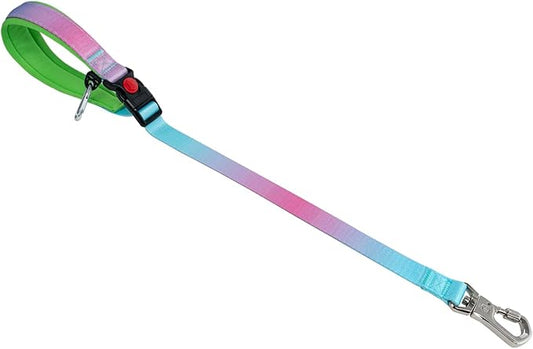 TSPRO Dog Training Leash with Sturdy Metal Buckle, 26 Inches Adjustable Short Leash for Large Dogs, Comfortable Padded Handle (Blue - Pink Gradient)