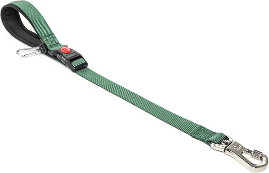 TSPRO Dog Training Leash with Sturdy Metal Buckle, 20 Inches Adjustable Short Leash for Large Dogs, Comfortable Padded Handle (Green)