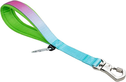 TSPRO Dog Training Leash with Sturdy Metal Buckle, 14 Inches Short Leash for Large Dogs, Comfortable Padded Handle (Blue - Pink Gradient)