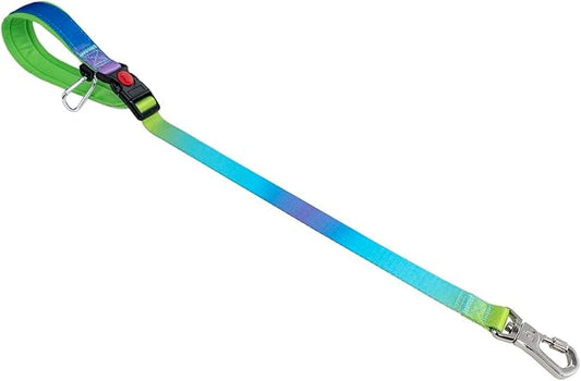TSPRO Dog Training Leash with Sturdy Metal Buckle, 26 Inches Adjustable Short Leash for Large Dogs, Comfortable Padded Handle (Rainbow Gradient)
