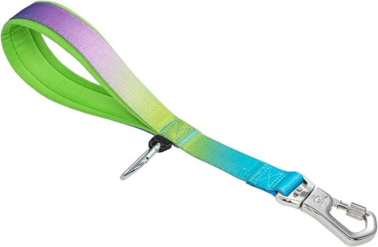 TSPRO Dog Training Leash with Sturdy Metal Buckle, 14 Inches Short Leash for Large Dogs, Comfortable Padded Handle (Rainbow Gradient)