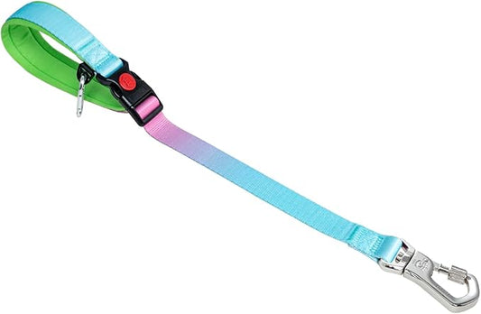 TSPRO Dog Training Leash with Sturdy Metal Buckle, 20 Inches Adjustable Short Leash for Large Dogs, Comfortable Padded Handle (Blue - Pink Gradient)