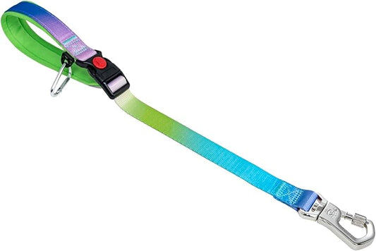TSPRO Dog Training Leash with Sturdy Metal Buckle, 20 Inches Adjustable Short Leash for Large Dogs, Comfortable Padded Handle (Rainbow Gradient)