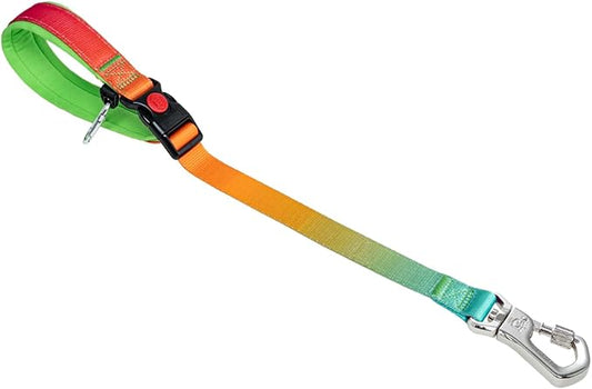 TSPRO Dog Training Leash with Sturdy Metal Buckle, 20 Inches Adjustable Short Leash for Large Dogs, Comfortable Padded Handle (Orange - Red Gradient)