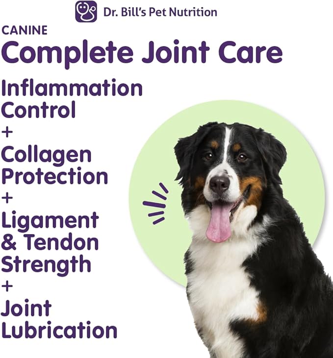 Dr. Bill’s Canine Complete Joint Care – Hip & Joint Supplement for Dogs for Mobility, Muscle Support & Inflammation Relief – Green Lipped Mussel, Chondroitin, Collagen, Omega-3 – Powder, 340g