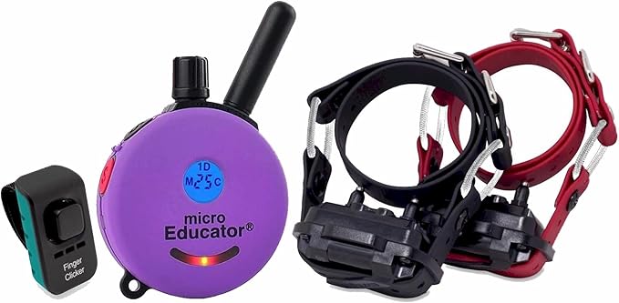 Educator E-Collar Humane Dog Training Collar with Remote, 100 Safe Tapping Stimulation Levels, Night Light, Waterproof, Rechargeable, 1/3 Mile 2 Small Dogs Double Bungee Collar Bundle, Purple