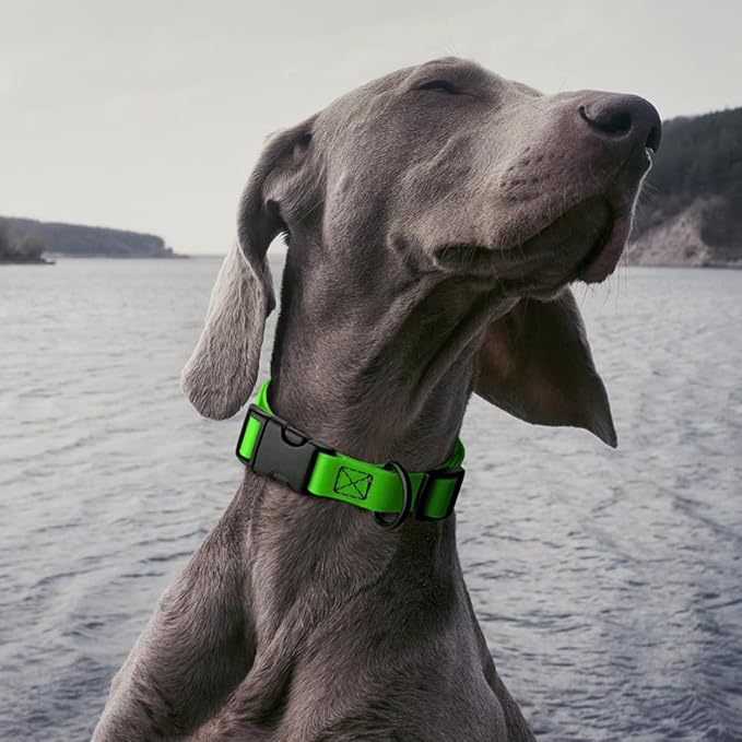 Dogline Biothane Waterproof Dog Collar with Quick Release Buckle Strong Coated Nylon Webbing with Odor- Proof for Easy Care Easy to Clean Fits Small Medium Large Dogs, Lime Green 3/4" W 12-19" L