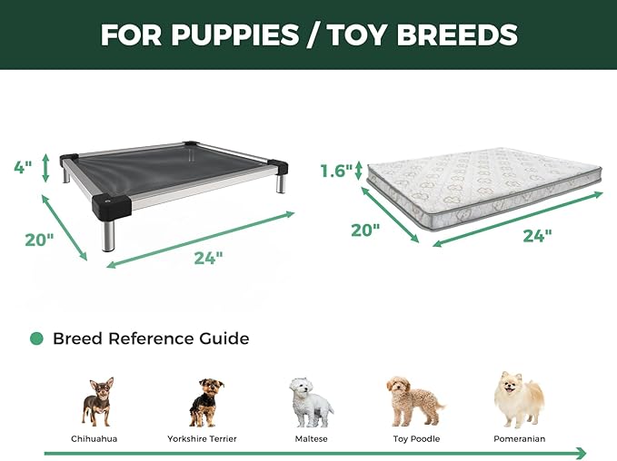 FXW TitanNest Chew-Proof Elevated Dog Bed, Raised Cot for Indoor/Outdoor/Camping Use, Durable & Waterproof Cooling Pet Bed with Exclusive Reuseable Cover for Toy Dogs, 24.0"L x 20.0"W x 4.1"H, Black