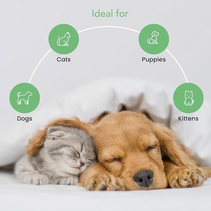 Scentament Spa Seasonal Facial & Body Wash, Berry Amaretto, 16 oz (S55-16oz)