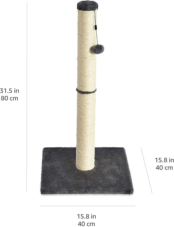 Amazon Basics Cat Scratcher - Indoor Classic Single Cat & Kittens Scratching Post, Medium (31.5"H) - Grey
