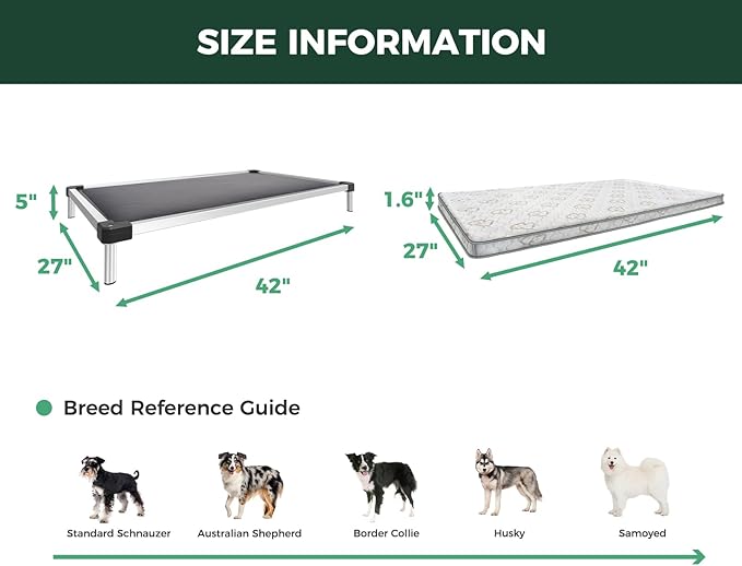 FXW TitanNest Chew-Proof Elevated Dog Bed, Raised Cot for Indoor/Outdoor/Camping Use, Durable & Washable Padded Pet Bed with Exclusive Reuseable Cover for Medium Dogs, 42.0" L x 27.0" W x 5.0" H, Gray