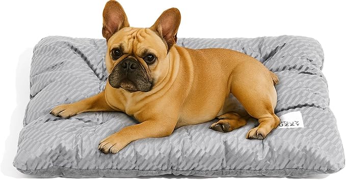 FUNNY FUZZY 2 in 1 Dog Bed Crate Pad Mat, Washable Reversible Floor Sleeping Mats,Fluffy Kennel Pad for Medium Sized Dog,Indoor Cats,Sleeping Mattress, 29.9" × 18.9", Light Grey