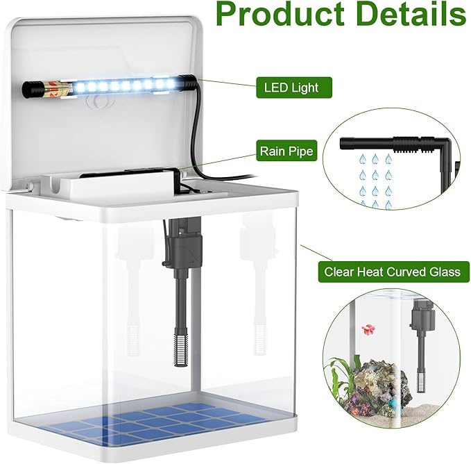 2 Gallon Glass Betta Fish Tank，Small Fish Tank with Filter and Light,Self-Cleaning Fish Tank.