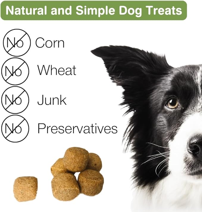 Organic Peanut Butter & Molasses Dog Treats – Healthy, Crunchy, Vegan Biscuits with Whole & Real Ingredients – All Natural & USA‐Baked, 7 oz