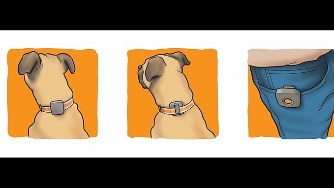 Dog Training Device - The Original Kona Clip Designed in The USA Vibration Correction with Remote Controller Small, Medium, Large Dogs Leash Training, Waterproof, Rechargeable