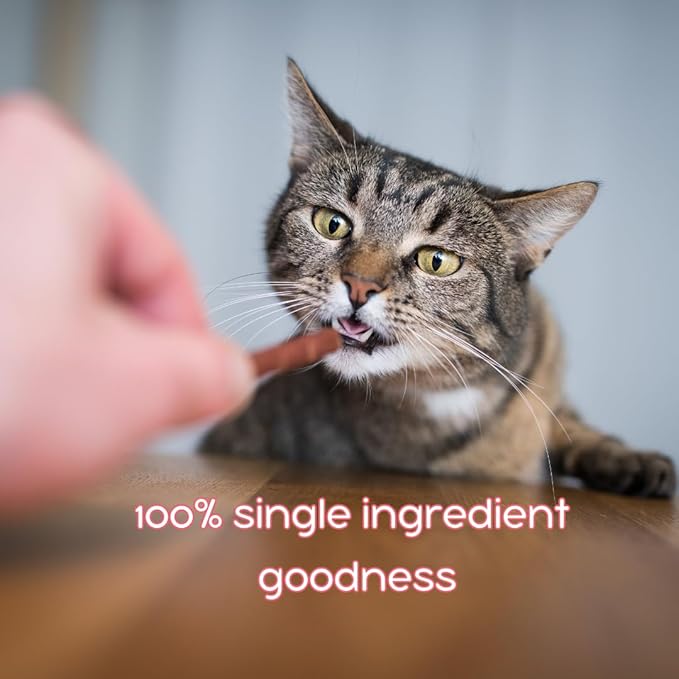 Silver Carp Chips Dog & Cat Treats | Single Ingredient | Wild Caught | Made w/Invasive Fish | Grain Free | High Protein + Low Fat | Hypoallergenic | Made in The USA (2 Pack)